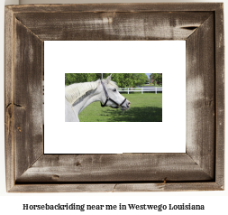 horseback riding near me in Westwego, Louisiana